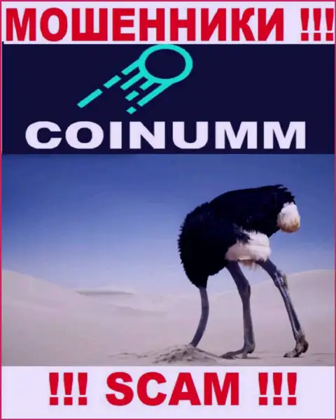 Компания Coinumm Com не имеет регулирующего органа и лицензии на осуществление деятельности