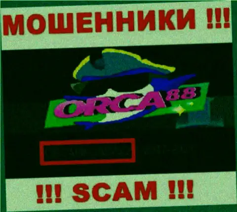ORCA88 CASINO руководит организацией Orca88 - это МАХИНАТОРЫ !