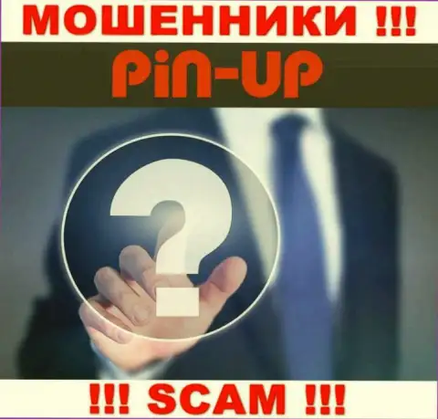 Не работайте совместно с интернет мошенниками Pin Up Casino - нет сведений об их непосредственных руководителях