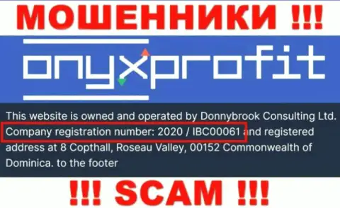 Рег. номер, который присвоен компании Onyx Profit - 2020 / IBC00061