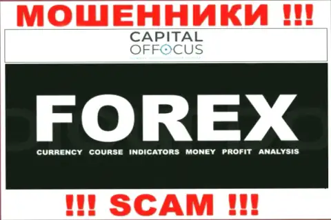С конторой Capital Of Focus работать крайне рискованно, их сфера деятельности Форекс - это разводняк