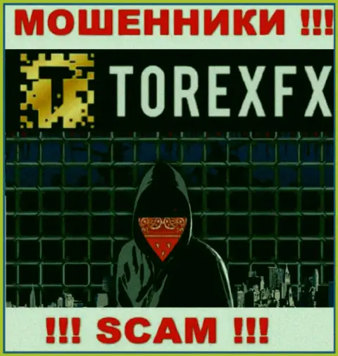 Torex FX не разглашают сведения об руководителях организации