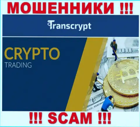 TransCrypt это интернет мошенники ! Вид деятельности которых - Криптоторговля