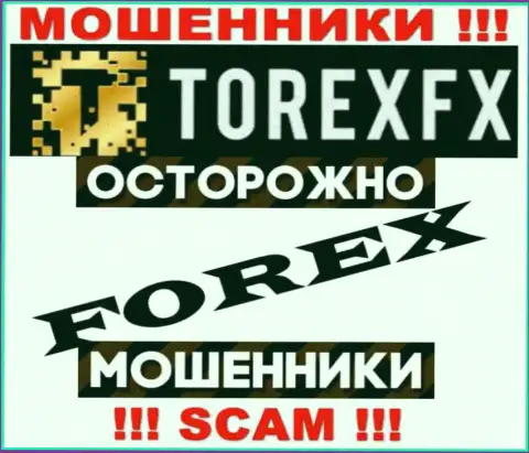 Сфера деятельности TorexFX: FOREX - отличный заработок для мошенников
