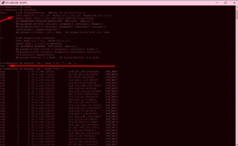 Подтверждение DDoS атаки на сервер maximarkets.pro