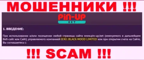Юридическое лицо конторы Pin-Up Bet - это B.W.I. BLACK-WOOD LIMITED, информация взята с официального веб-портала