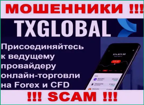 Во всемирной internet сети действуют ворюги TXGlobal Com, род деятельности которых - FOREX