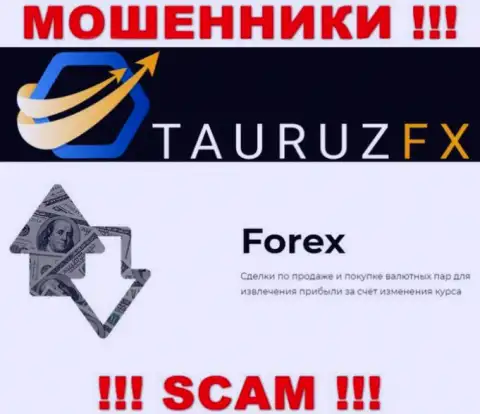 FOREX - именно то, чем промышляют мошенники TauruzFX