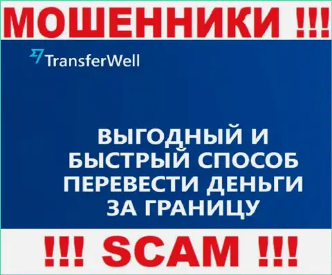 Не стоит верить, что деятельность TransferWell Net в направлении Платежная система законна