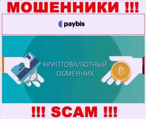 Крипто обменник - сфера деятельности преступно действующей организации PayBis Com