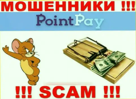 Point Pay LLC - МОШЕННИКИ, не доверяйте им, если вдруг будут предлагать разогнать депозит