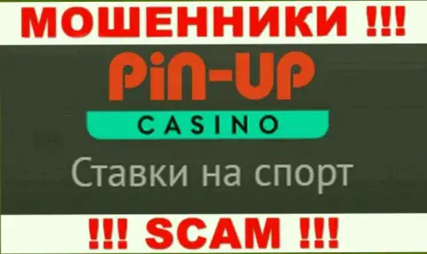 Основная деятельность Pin-Up Casino - это Казино, будьте бдительны, прокручивают делишки неправомерно