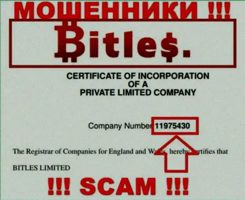 Номер регистрации интернет-аферистов Bitles, с которыми не надо работать - 11975430