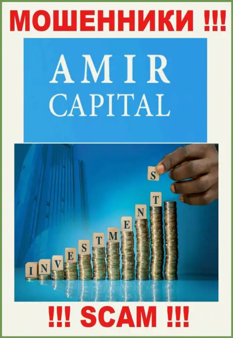 Не вводите деньги в Амир Капитал, сфера деятельности которых - Инвестиции