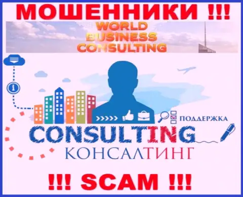 World Business Consulting LLP заняты грабежом клиентов, а Консалтинг только прикрытие