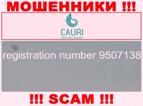 Регистрационный номер, принадлежащий противоправно действующей организации Cauri - 9507138